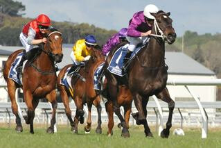 Dijon Bleu claims an easy win in the Listed O’Leary’s Fillies’ Stakes. Photo: Race Images Palmerston North
